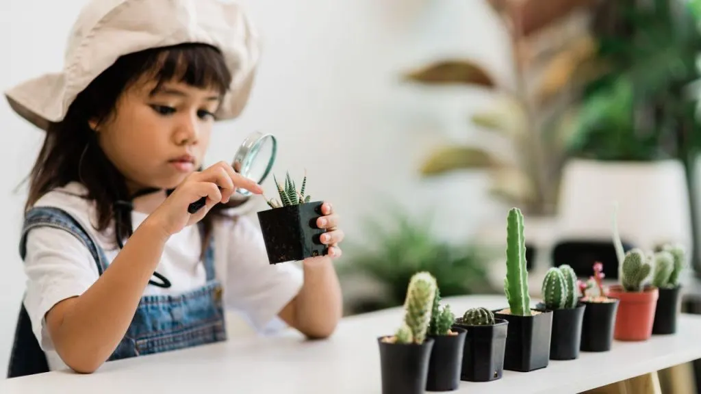 montessori